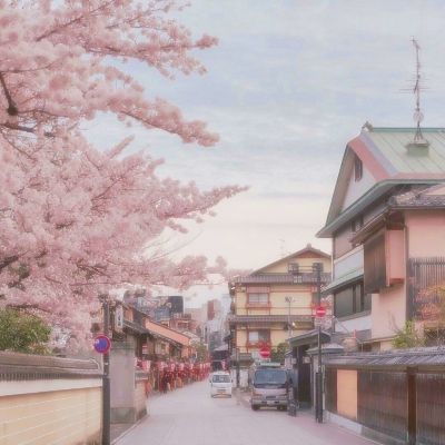 美国机场安检排队时间创历史新高 资金短缺令TSA陷入用工荒
